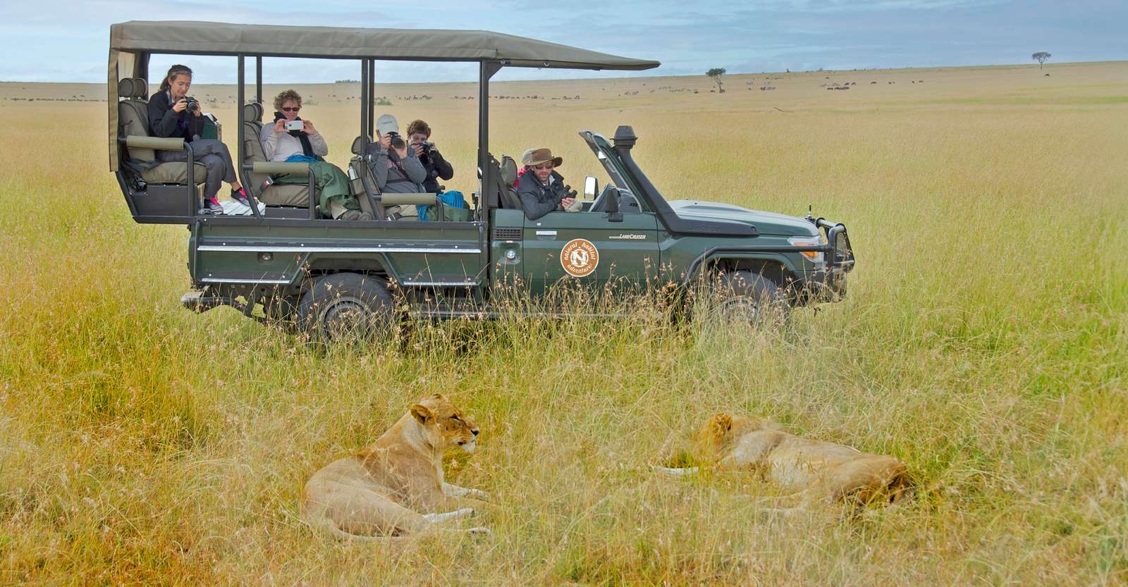 Lions and Nat Hab guests, Maasai Mara National Reserve, Kenya.